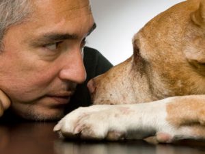 Dog Whisperer on Leadership