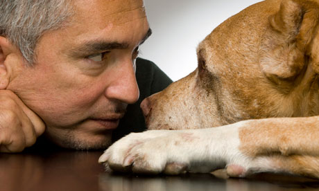 cesar millan dog whisperer leadership