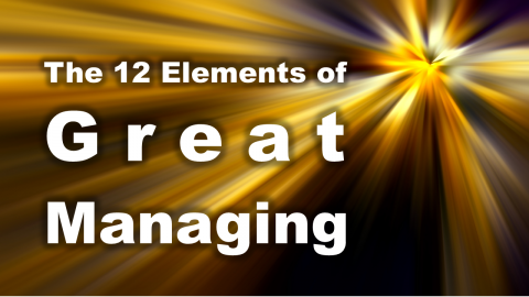 the 12 elements of great managing