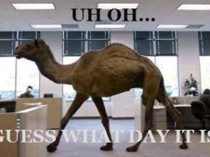 Guess What Day It Is