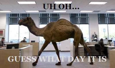 Guess What Day It Is